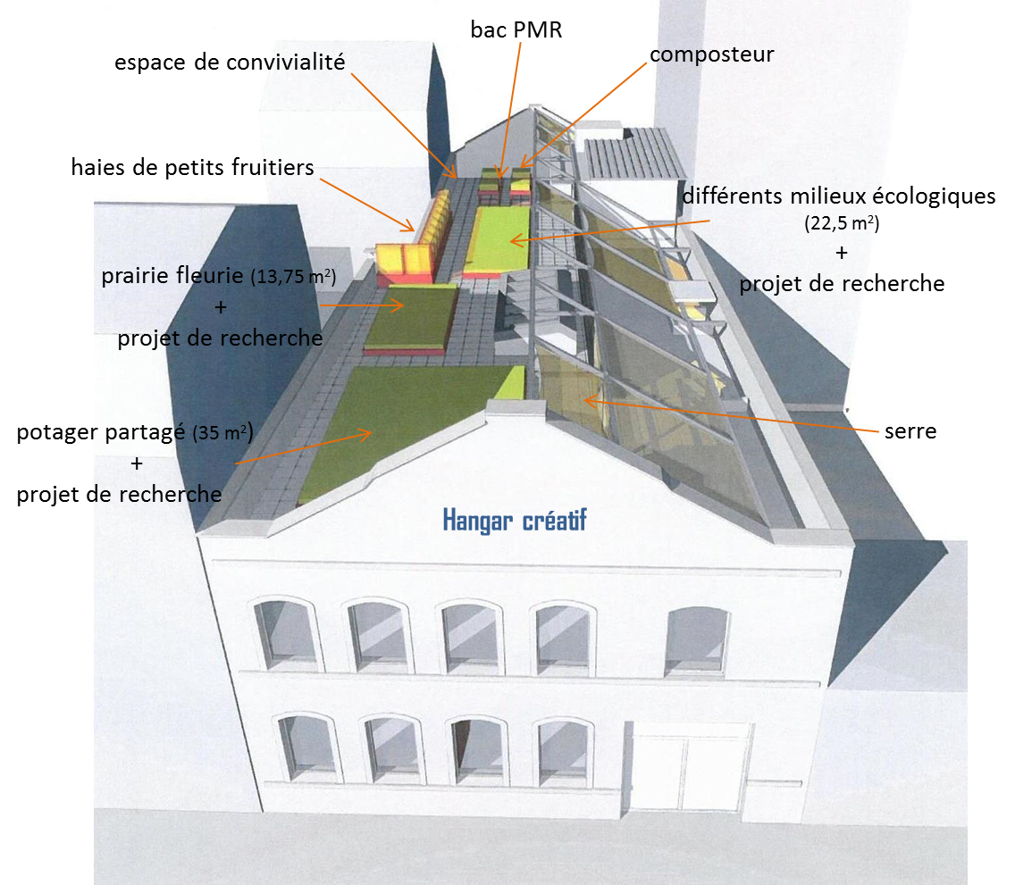 agriculture urbaine toit